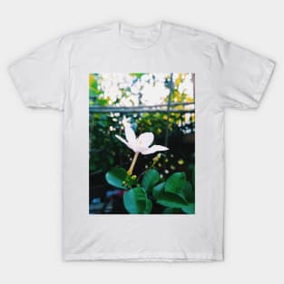 flower, wayside flower, white flower, wrightia antidysenterica, snowflake flower, white angel flower, snowflake, white angel, mobile photography, coral swirl flower, vintage flower, floral abstract art, blooming, vintage, floral T-Shirt